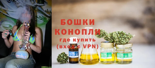 молекула духа Протвино