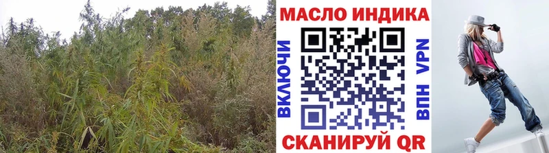 ТГК концентрат  сколько стоит  Харабали 