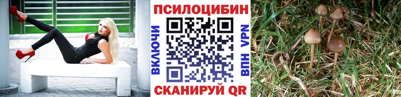 darknet клад  Харабали  Галлюциногенные грибы Psilocybine cubensis  ссылка на мегу сайт 